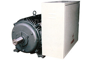 DYG系列多速電動(dòng)機(jī) DYG系列多速電動(dòng)機(jī)