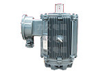 TYPL系列永磁同步電機(jī) TYPL系列永磁同步電機(jī)