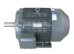 YX3高效電機 YX3高效電機