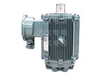 TYPL永磁變頻電機(jī) TYPL永磁變頻電機(jī)