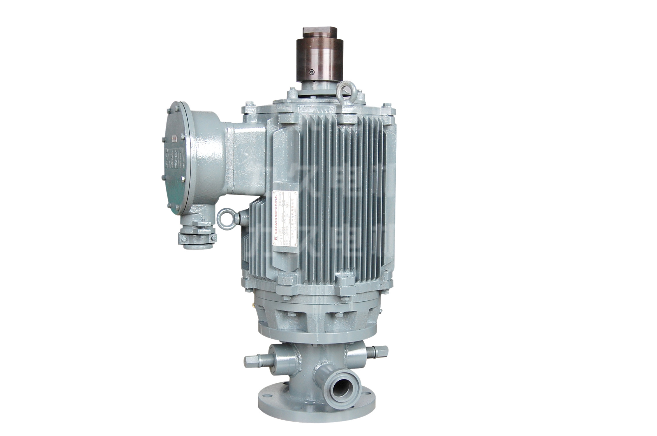 TYPLM永磁變頻螺桿泵電機(jī) TYPLM永磁變頻螺桿泵電機(jī)