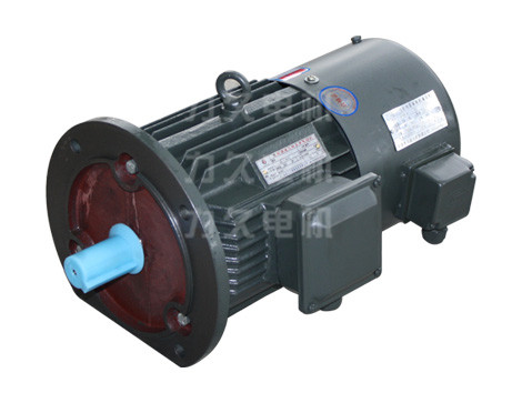 YVP變頻調(diào)速電機(jī)-B5 YVP變頻調(diào)速電機(jī)-B5