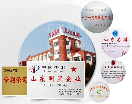 發(fā)展強(qiáng)勁的力久電機(jī) 發(fā)展強(qiáng)勁的力久電機(jī)