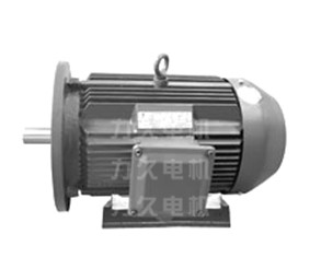 雙頻高效電機 雙頻高效電機