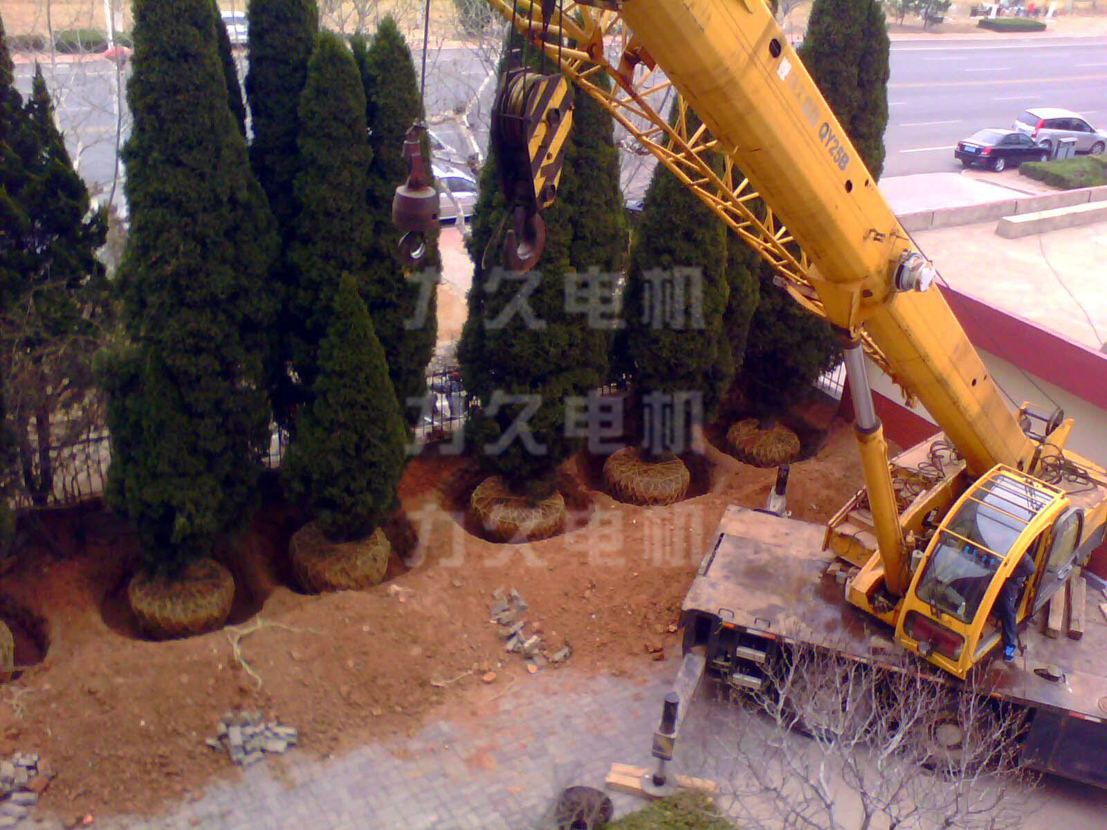 力久電機(jī)40年的朋友搬家 力久電機(jī)40年的朋友搬家