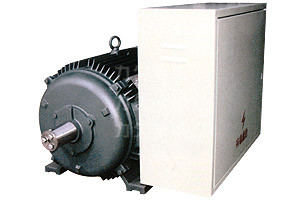 DYG系列高起動(dòng)轉(zhuǎn)矩多速電動(dòng)機(jī) DYG系列高起動(dòng)轉(zhuǎn)矩多速電動(dòng)機(jī)