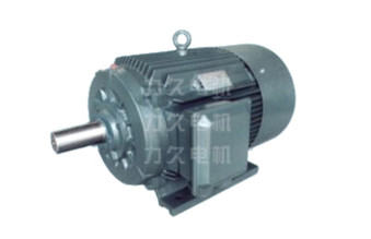 TYG永磁同步電機(jī) TYG永磁同步電機(jī)