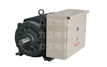 YDGJ系列多功率電動機 YDGJ系列多功率電動機