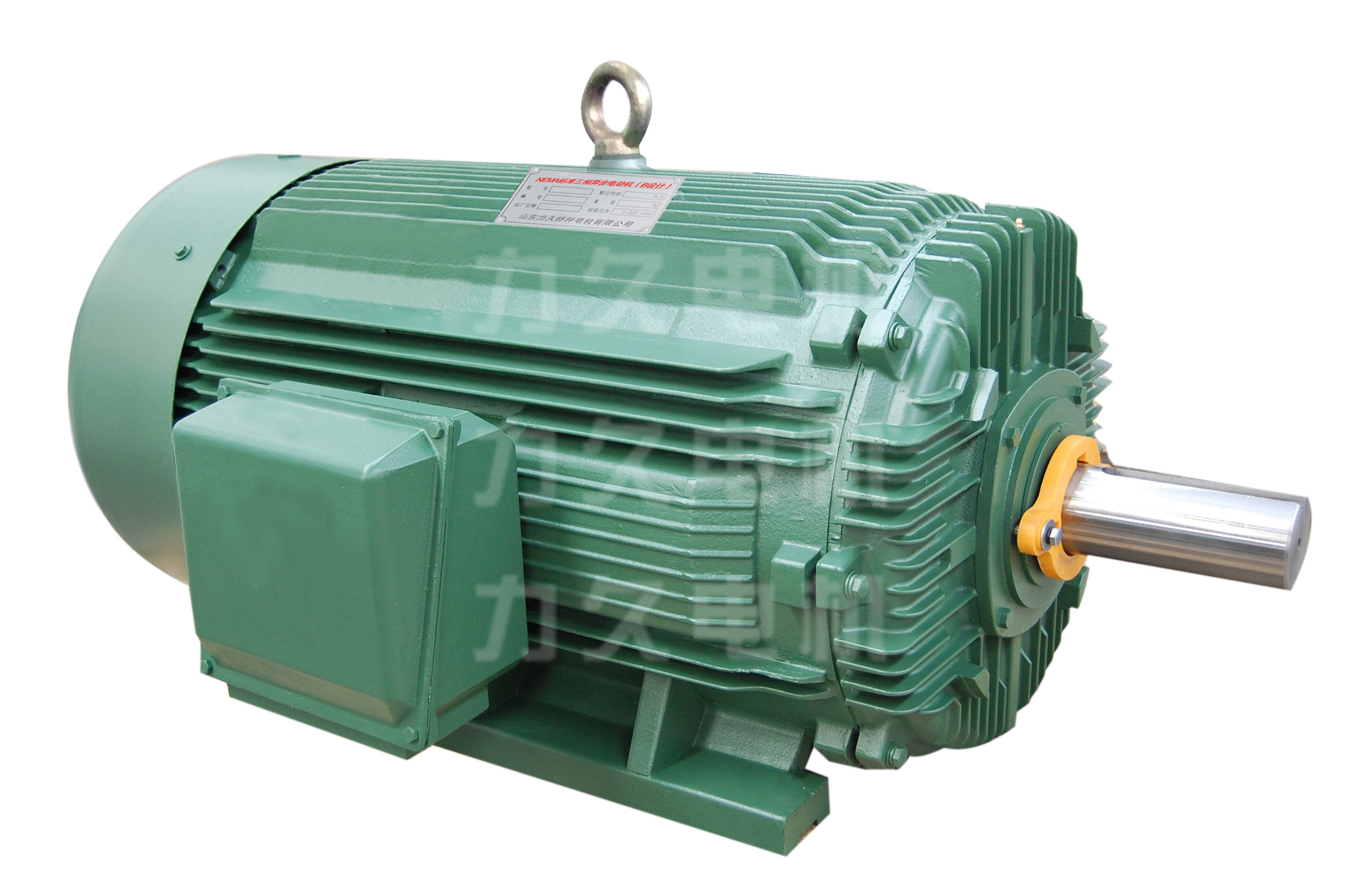 NEMA超高效電機(jī) NEMA超高效電機(jī)