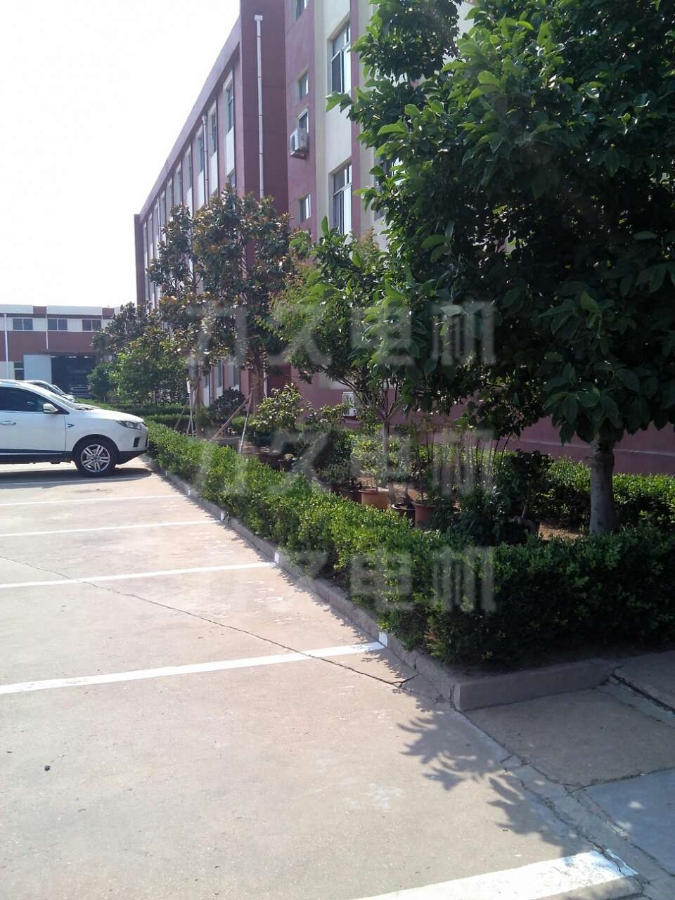 力久電機(jī)辦公樓前綠化帶 力久電機(jī)辦公樓前綠化帶