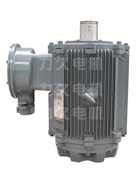 TYPL永磁變頻電機 TYPL永磁變頻電機