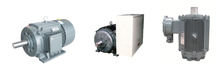 部分油田專用電機(jī) 部分油田專用電機(jī)