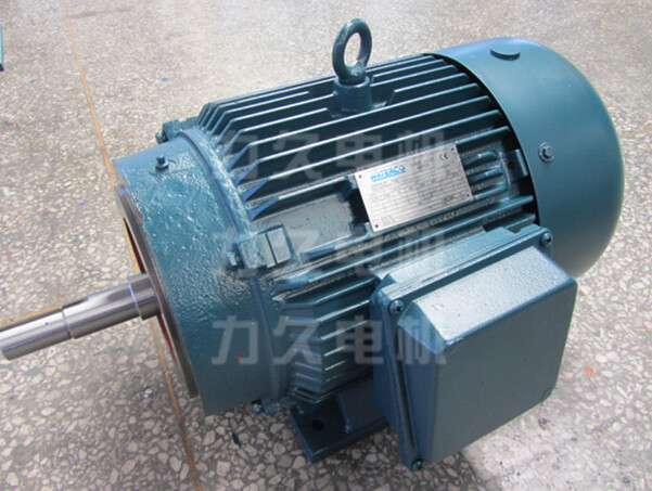 NEMA電機(jī)T484 NEMA電機(jī)T484