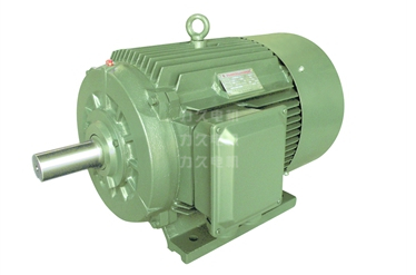 TYG系列高效永磁同步電機(jī) TYG系列高效永磁同步電機(jī)