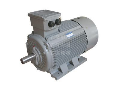 YE3系列超高效電機(jī) YE3系列超高效電機(jī)