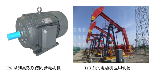 TYG高效永磁同步電機(jī) TYG高效永磁同步電機(jī)