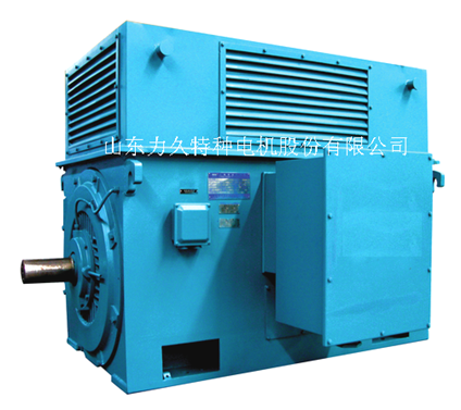 高壓電機(jī) 高壓電機(jī)