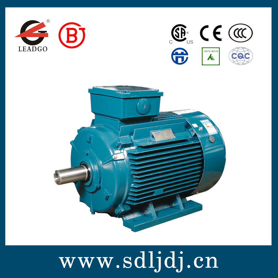 高效電機(jī) 高效電機(jī)