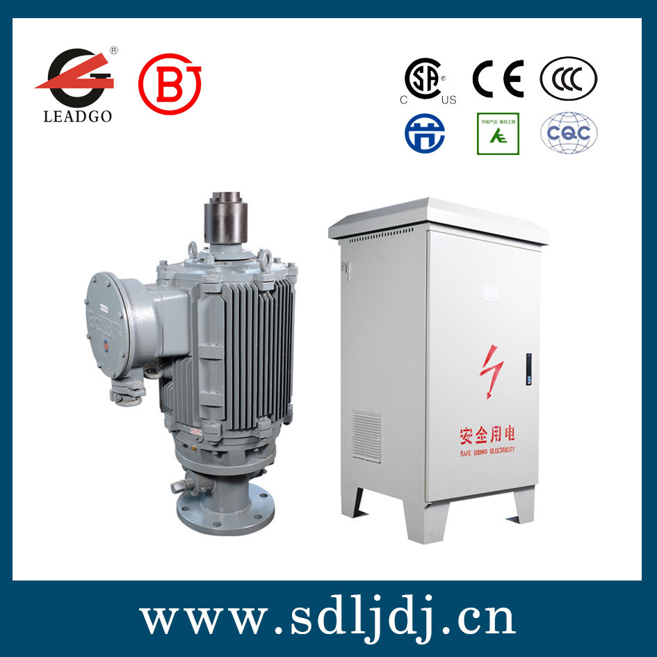 螺桿泵永磁變頻電機(jī) 螺桿泵永磁變頻電機(jī)