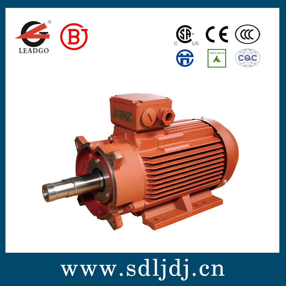 水泵電機(jī)/真空泵專用電機(jī) 水泵電機(jī)/真空泵專用電機(jī)