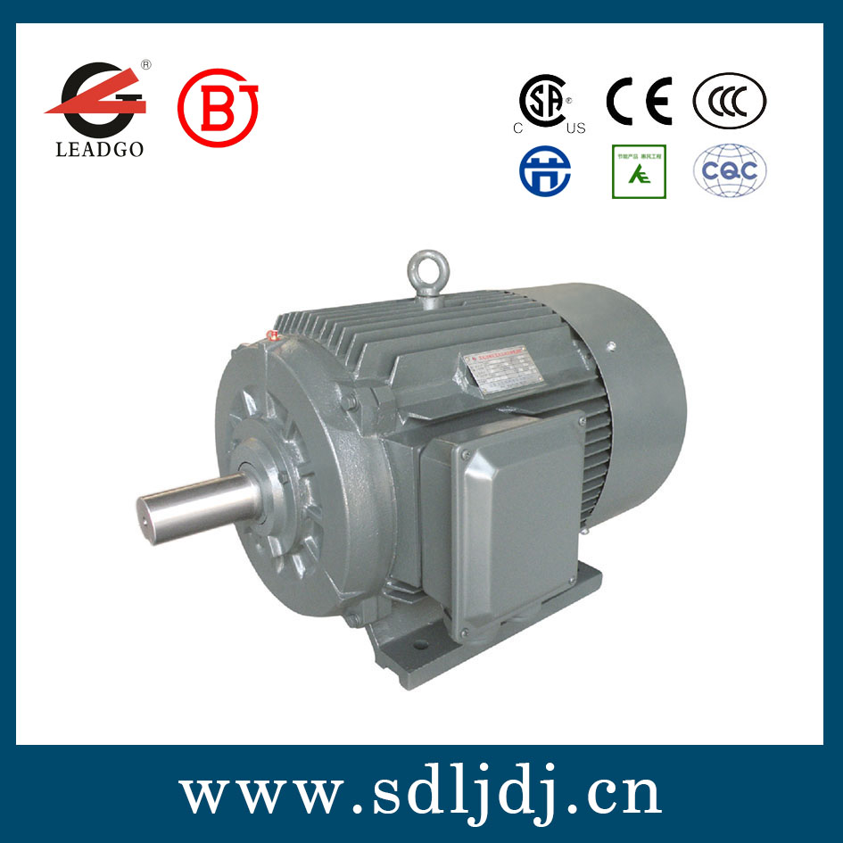 TYJX高效永磁同步電機 TYJX高效永磁同步電機