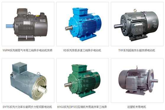 專用電機(jī) 專用電機(jī)