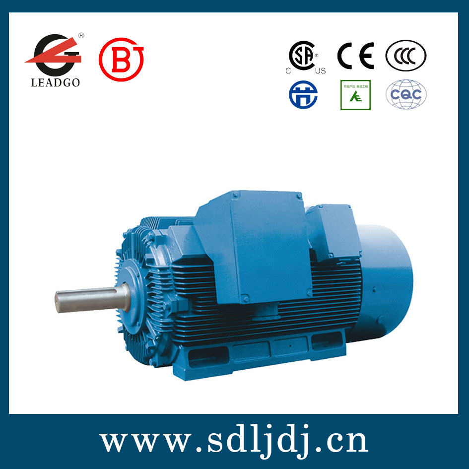 高壓電機 高壓電機