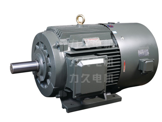 TYP永磁同步電機(jī) TYP永磁同步電機(jī)