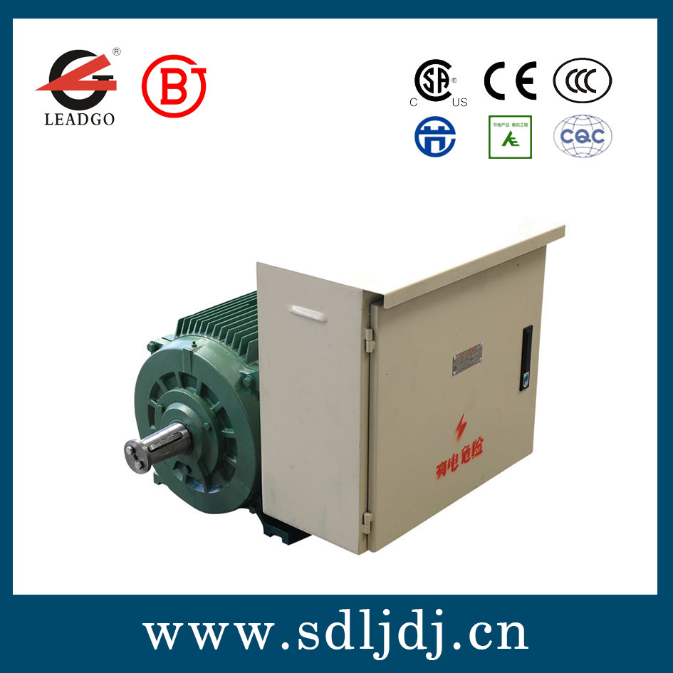 DYG高啟動轉(zhuǎn)矩多速油田電機 DYG高啟動轉(zhuǎn)矩多速油田電機