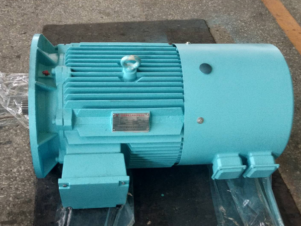 帶制動(dòng)器和旋變變壓器的高效變頻電機(jī) 帶制動(dòng)器和旋變變壓器的高效變頻電機(jī)