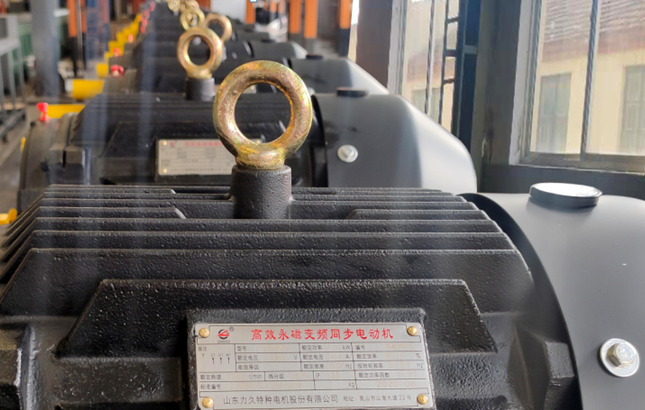 永磁電機(jī) 永磁電機(jī)