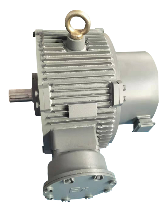 永磁同步電機(jī)(特殊定制) 永磁同步電機(jī)(特殊定制)