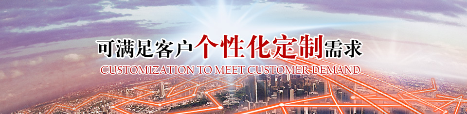 定制電機(jī) 定制電機(jī)