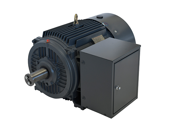 DYG系列高起動(dòng)轉(zhuǎn)矩多速電動(dòng)機(jī) DYG系列高起動(dòng)轉(zhuǎn)矩多速電動(dòng)機(jī)