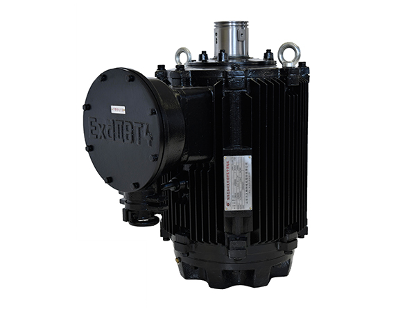 TYPL系列隔爆型永磁變頻螺桿泵專用電機(jī) TYPL系列隔爆型永磁變頻螺桿泵專用電機(jī)