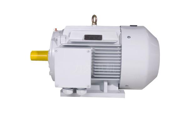 YFBX4系列高效率粉塵防爆型三相異步電動(dòng)機(jī) YFBX4系列高效率粉塵防爆型三相異步電動(dòng)機(jī)