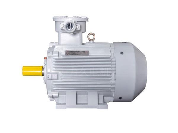YBX3系列高效率隔爆型三相異步電動(dòng)機(jī)