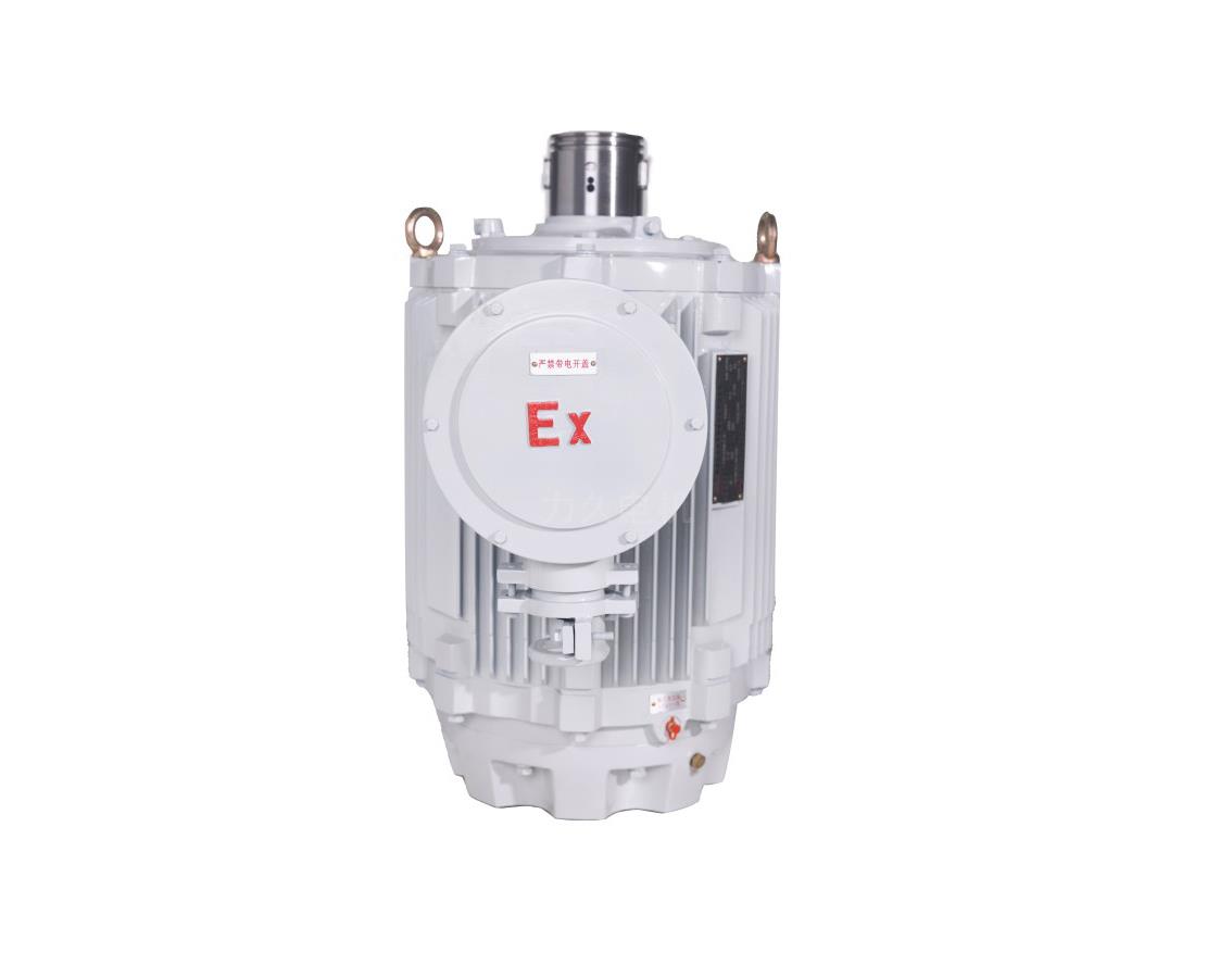 TYPL系列隔爆型永磁變頻螺桿泵專用電機 TYPL系列隔爆型永磁變頻螺桿泵專用電機