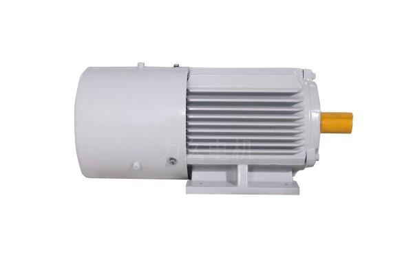 YVP系列變頻調(diào)速三相異步電動(dòng)機(jī) YVP系列變頻調(diào)速三相異步電動(dòng)機(jī)