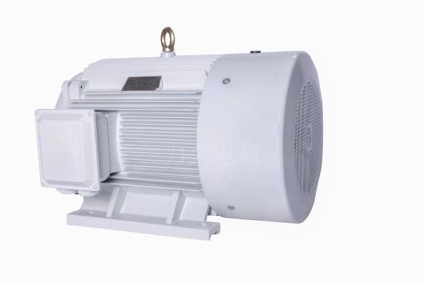 DYG系列高起動轉(zhuǎn)矩多速電動機系統(tǒng) DYG系列高起動轉(zhuǎn)矩多速電動機系統(tǒng)