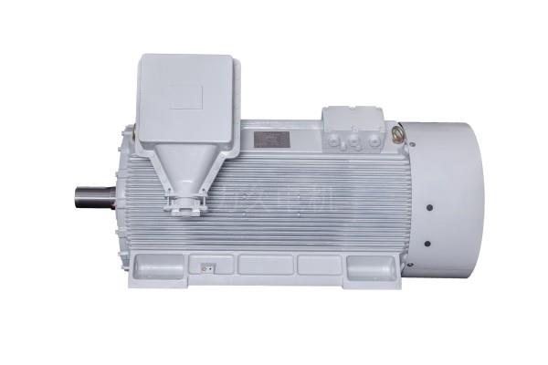 YE3系列緊湊型高壓三相異步電動(dòng)機(jī) YE3系列緊湊型高壓三相異步電動(dòng)機(jī)