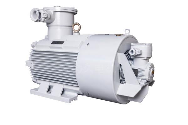 YBBP系列隔爆型變頻調(diào)速三相異步電動(dòng)機(jī) YBBP系列隔爆型變頻調(diào)速三相異步電動(dòng)機(jī)