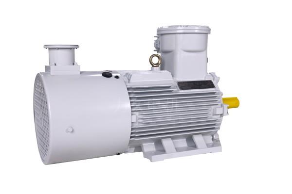 YBBPX3系列高效率隔爆型變頻調(diào)速三相異步電動(dòng)機(jī) YBBPX3系列高效率隔爆型變頻調(diào)速三相異步電動(dòng)機(jī)