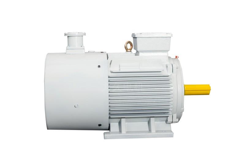 YFBBPX3系列高效率粉塵防爆型變頻調速三相異步電動機 YFBBPX3系列高效率粉塵防爆型變頻調速三相異步電動機