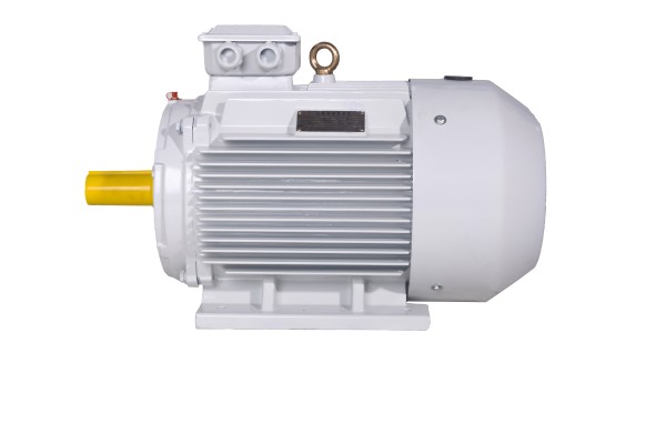 YE3(IE3)系列三相異步電動(dòng)機(jī) YE3(IE3)系列三相異步電動(dòng)機(jī)